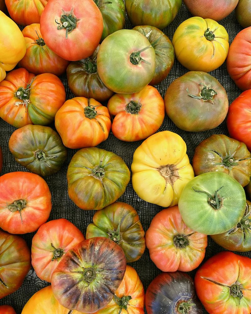 Heirloom Tomatoes With Stories Behind Them