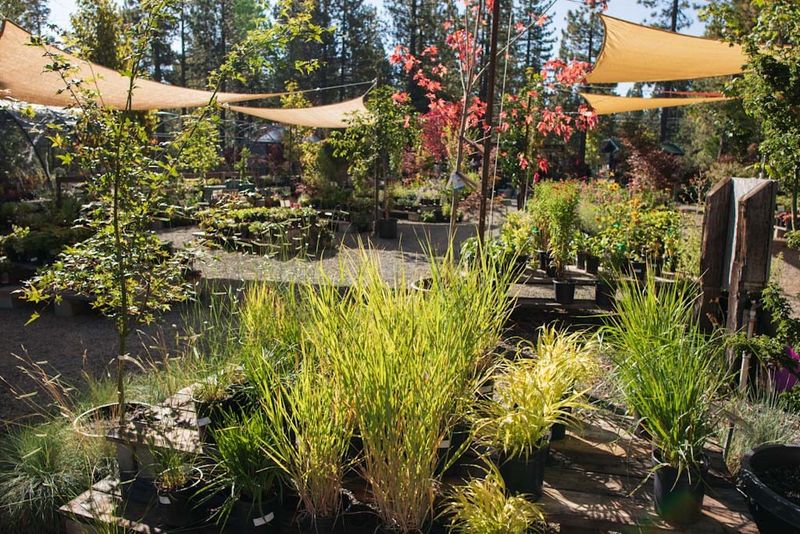 Strategic Watering Systems