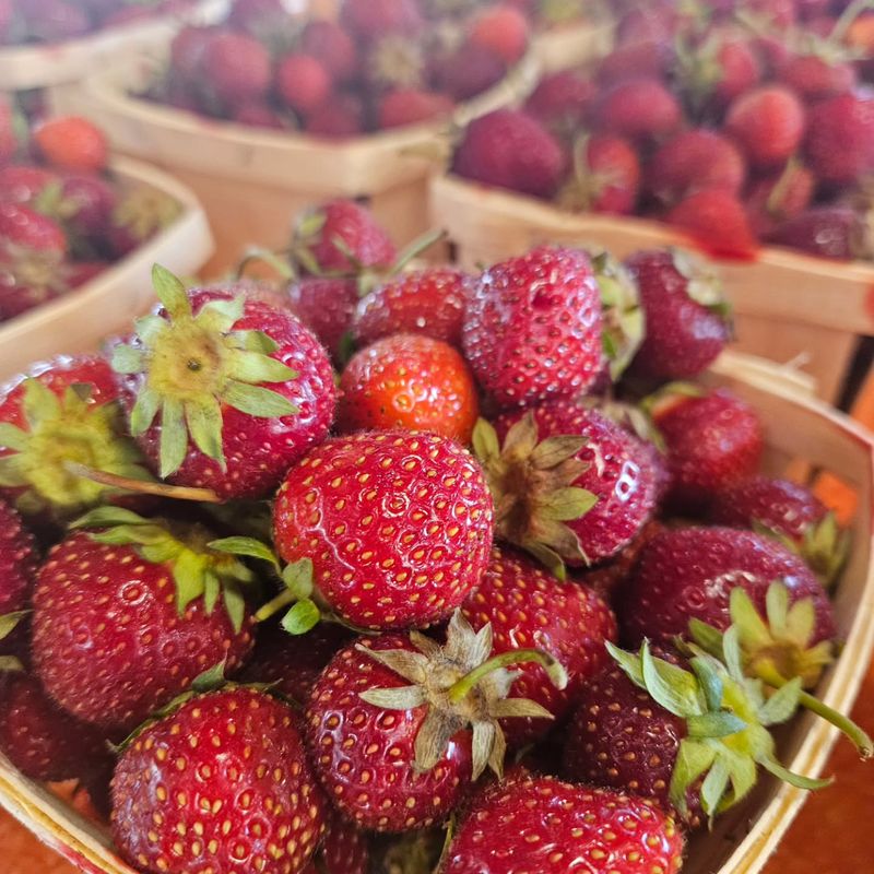Freshly Picked Berries In Small Batches