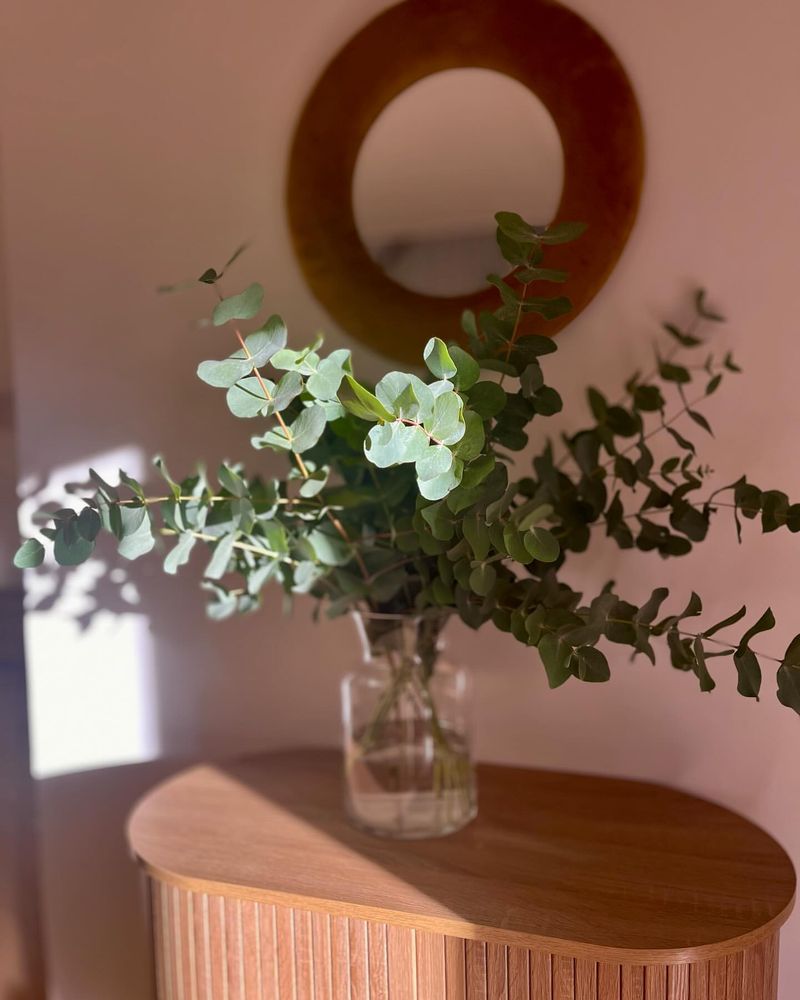 Bathroom Eucalyptus Bundles