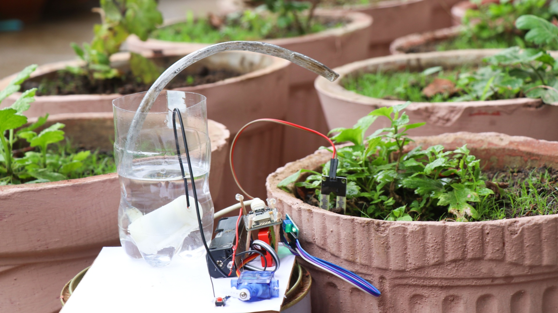Seattle Plots Could Use IoT Soil Moisture Sensors To Conserve Water During Dry Season