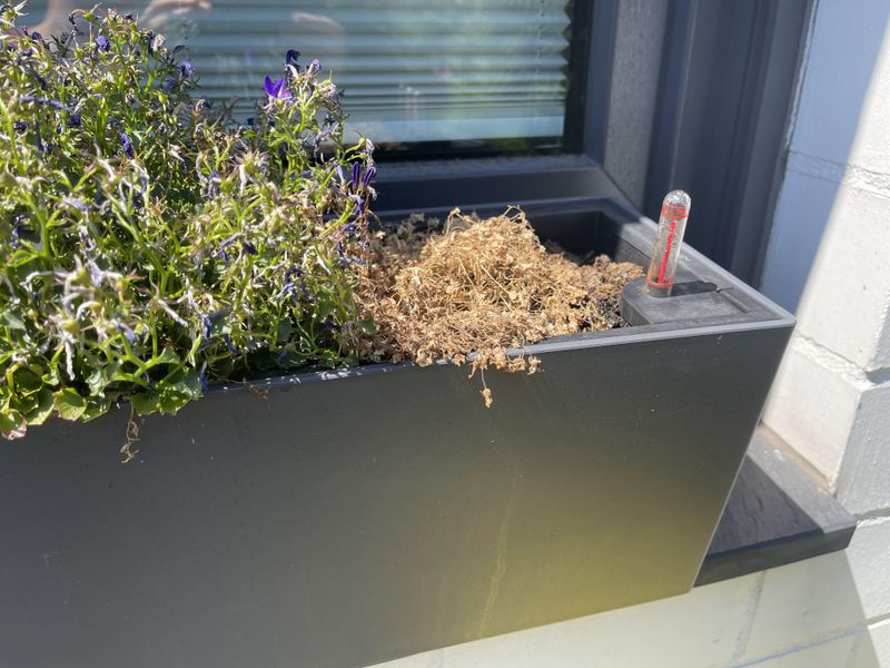 Tracking Water Needs In Raised Beds