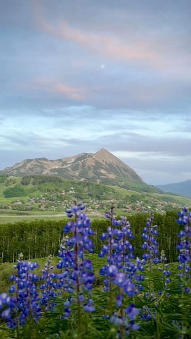 Picturesque Pitkin