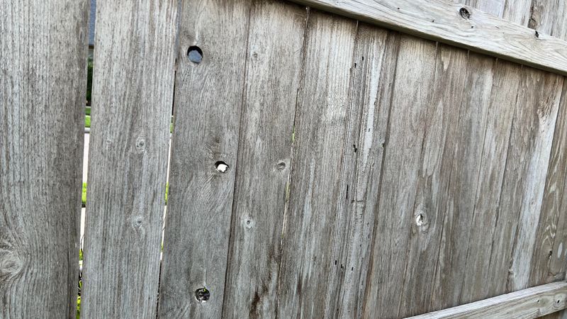 Cover Knotholes With Decorative Plates