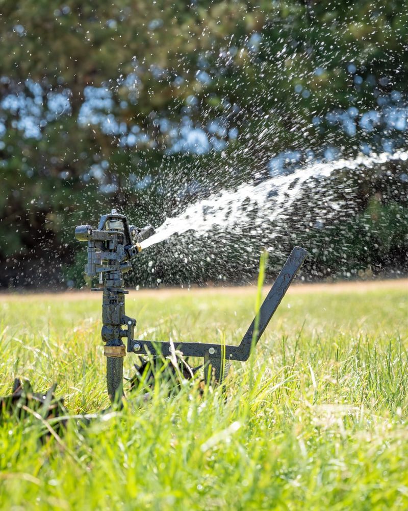 Install Motion-Activated Sprinklers