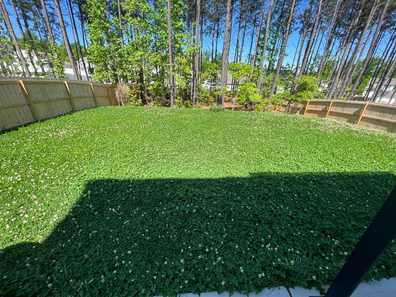 No More Expensive Lawn Equipment