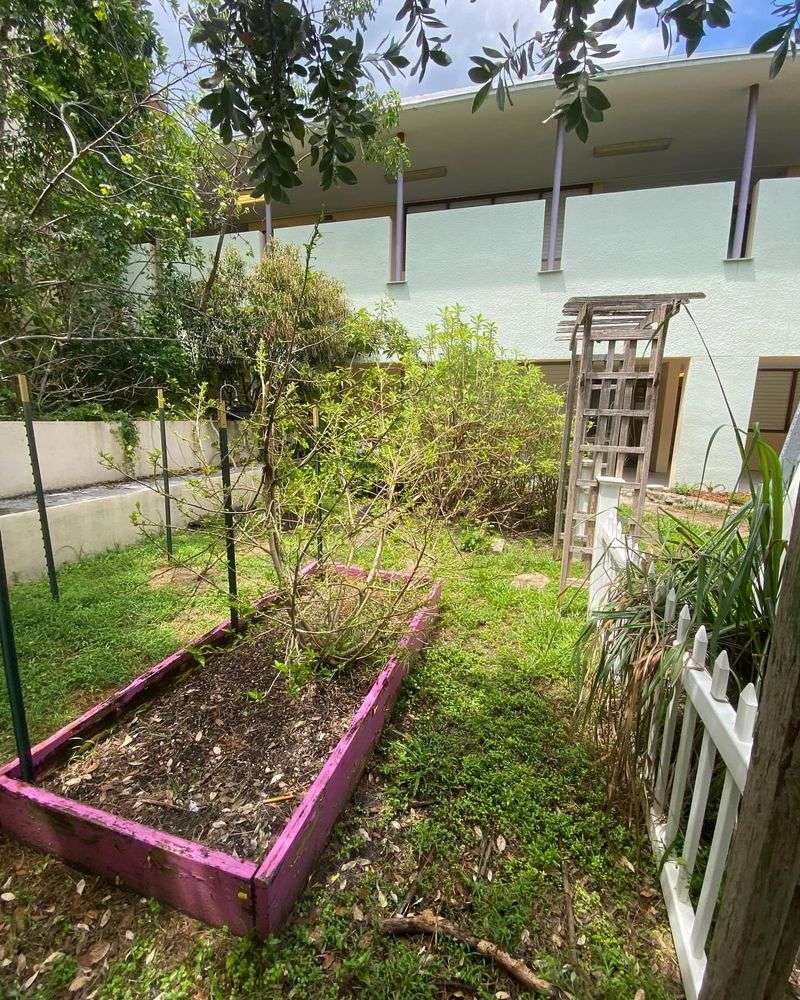 Sensory Garden Moments