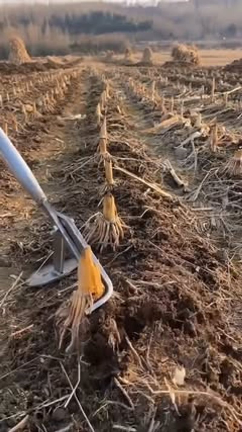 DIY Tool Maintenance