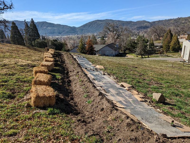 Build Healthy Soil Foundations