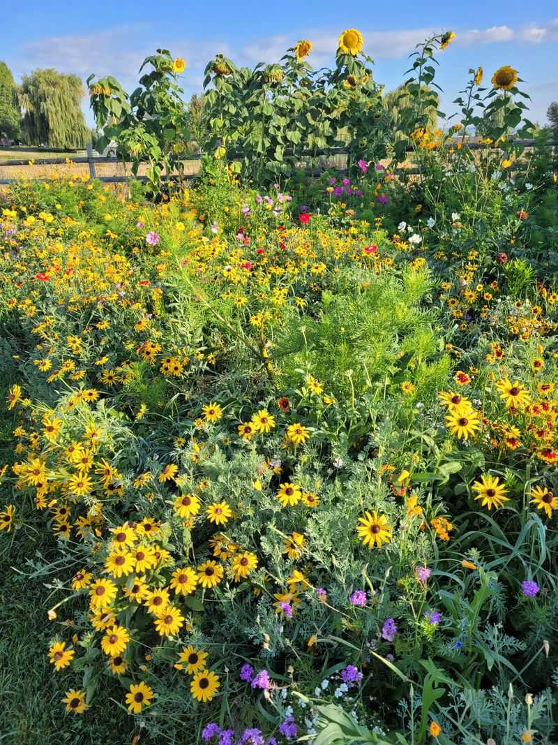 Create A Planting Plan