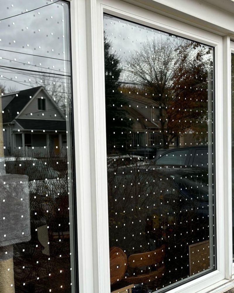Reduce Window Collisions