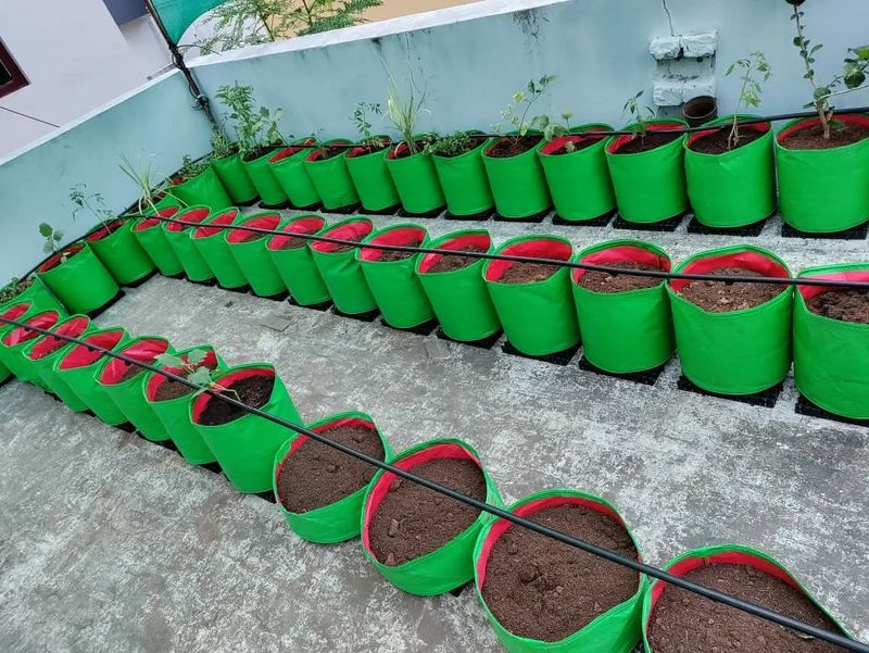 Install Drip Irrigation