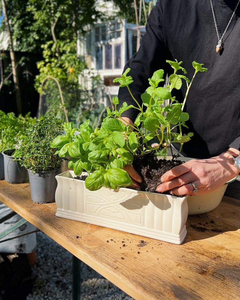 Potted Protection