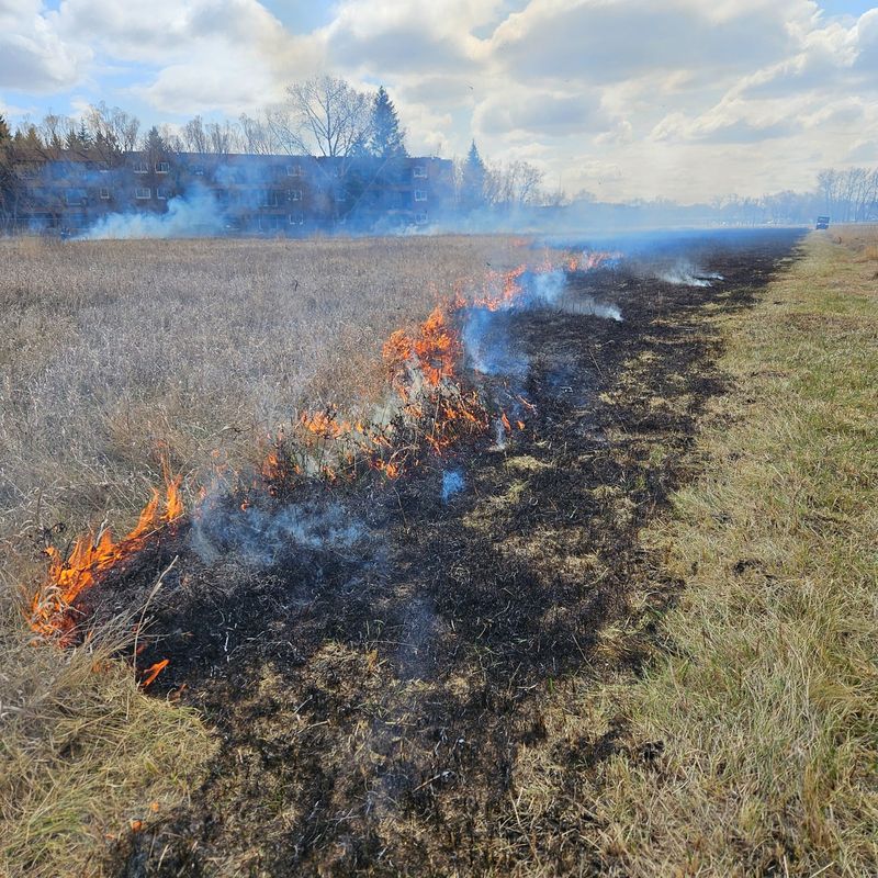 Controlled Burns