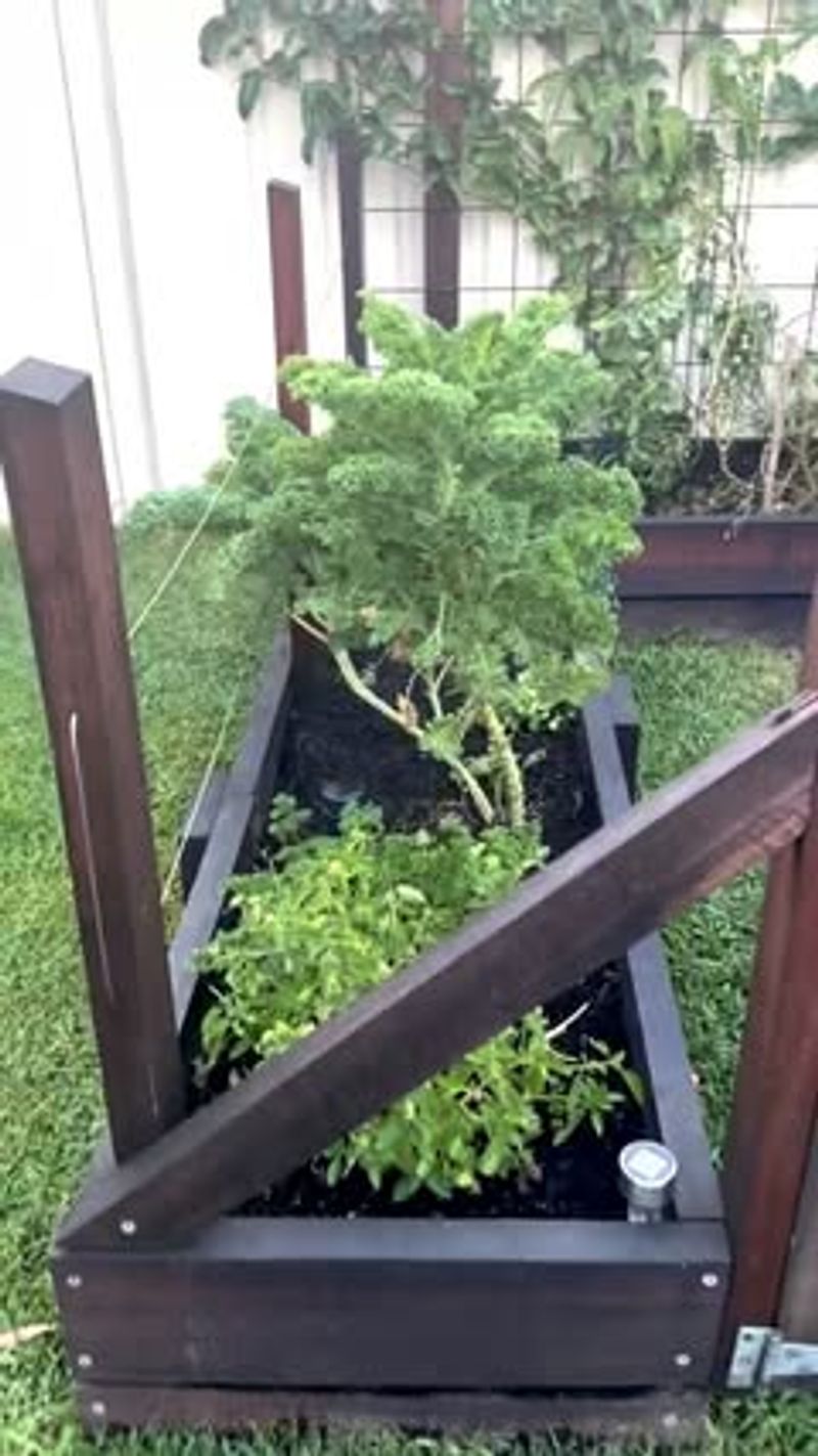 Wicking Bed Systems