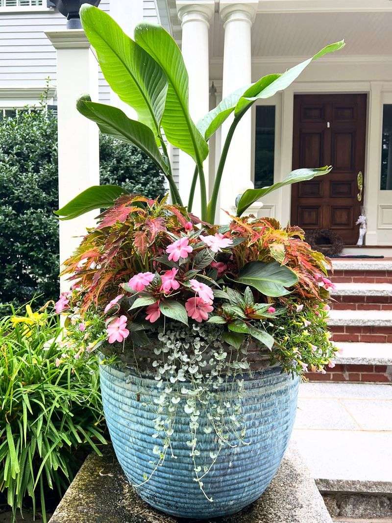 Tropical Paradise Pot