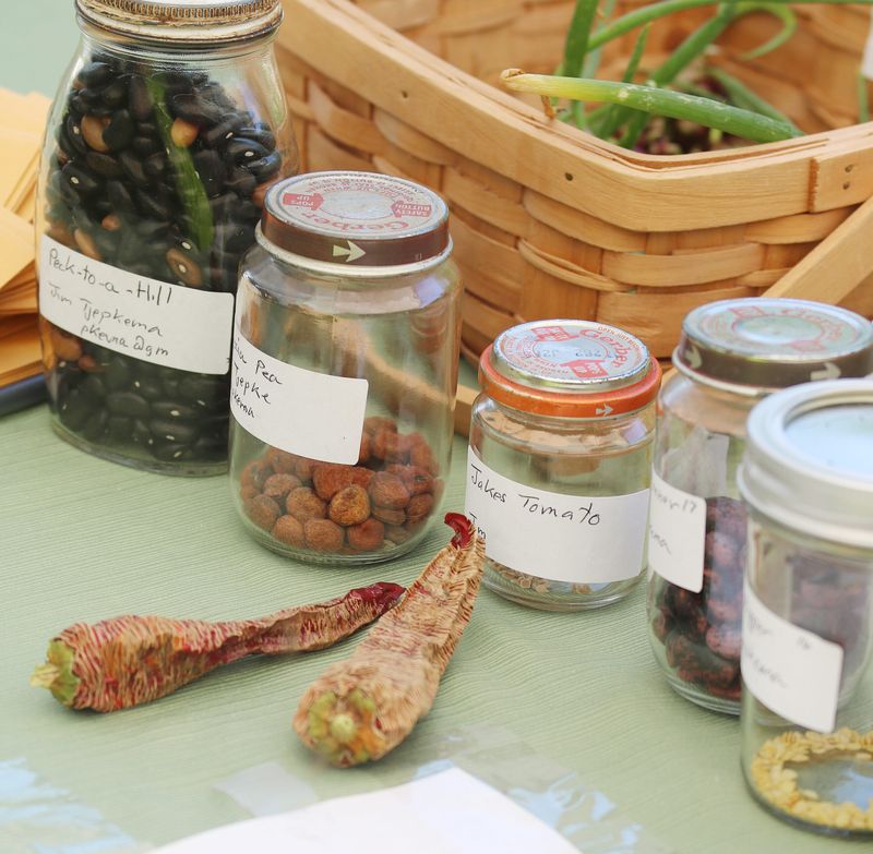Neighborhood Seed Swap Creates Garden Diversity