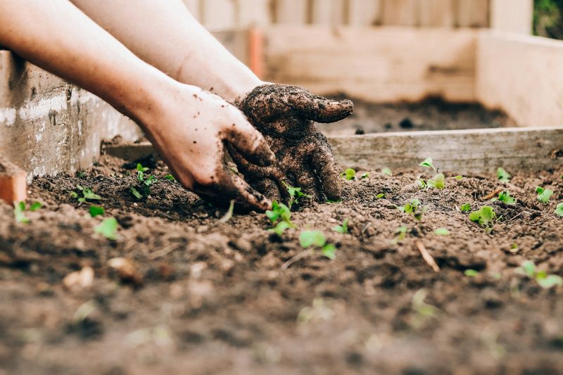 Seasonal Soil Appreciation