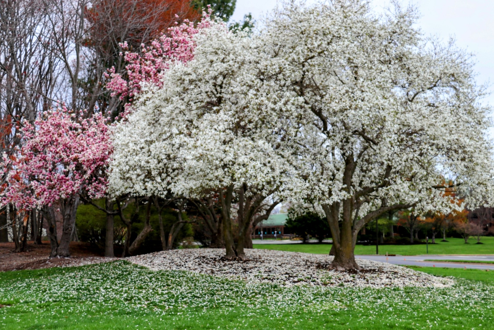 September Magic In Kentucky’s Small Towns Surrounded By Magnolia Trees And Harvest Fields