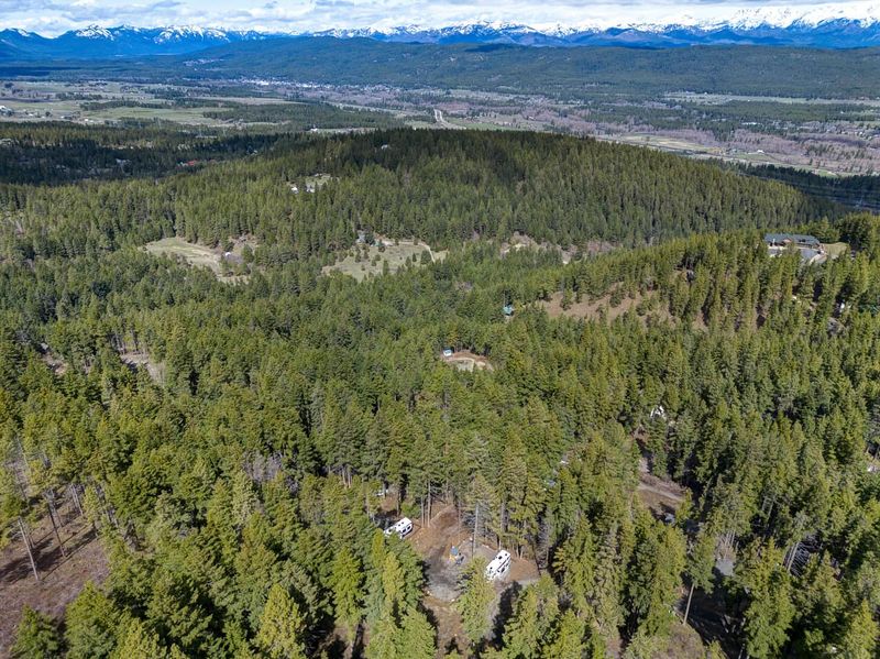 Cle Elum's Forest-to-Meadow Transitions