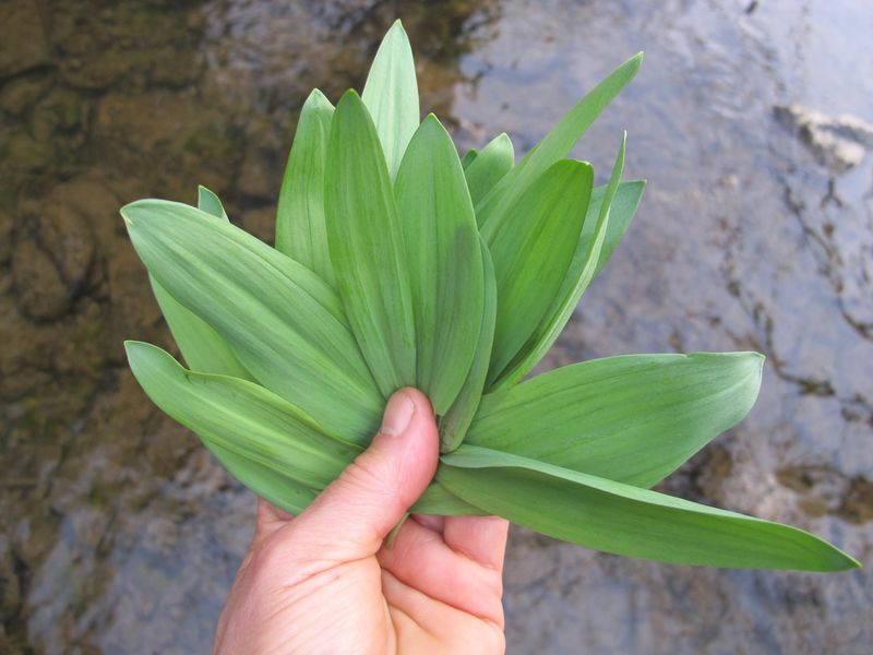 Ramps