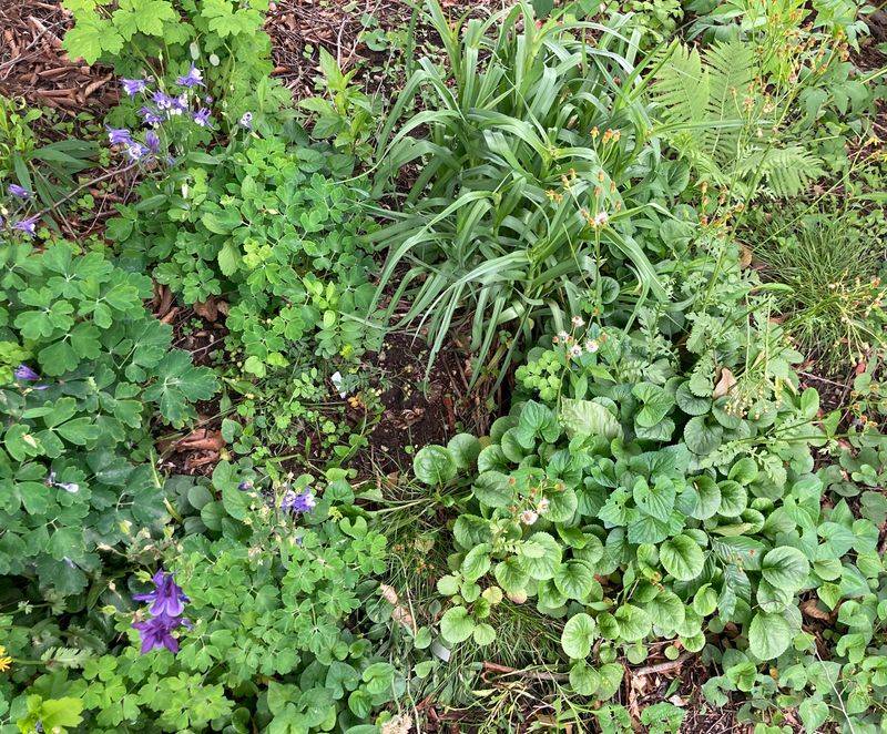 Artistic Groundcover Tapestries