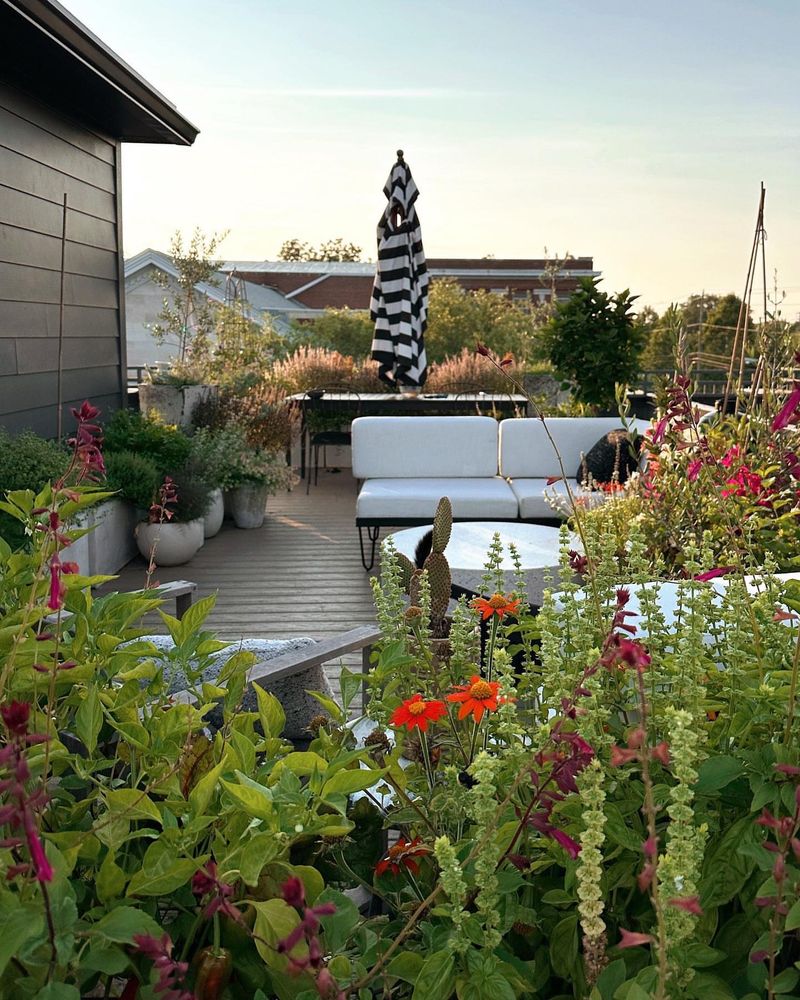 Harness Microclimates On Your Terrace