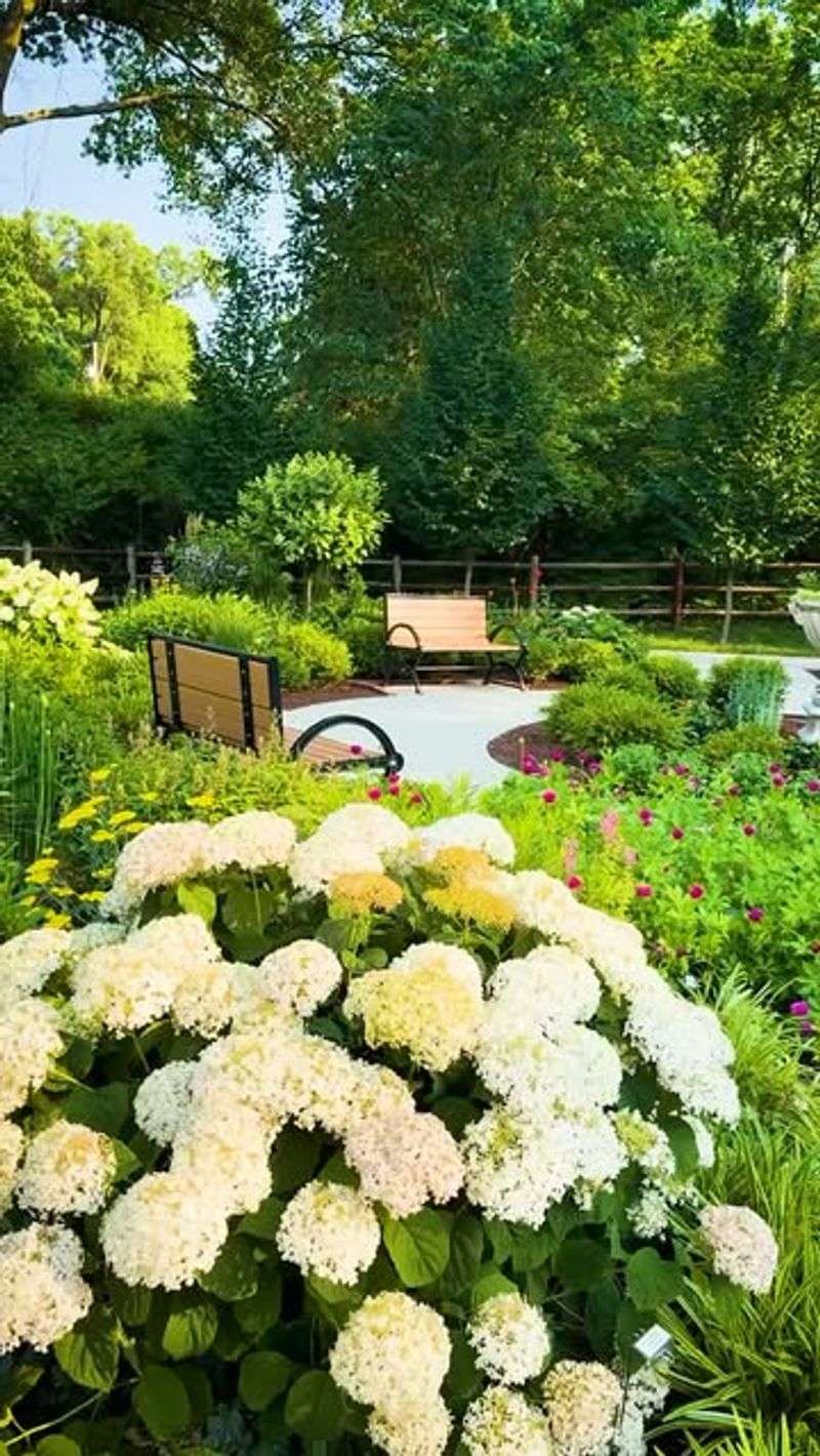 Create Microclimate Maps Of Your Property