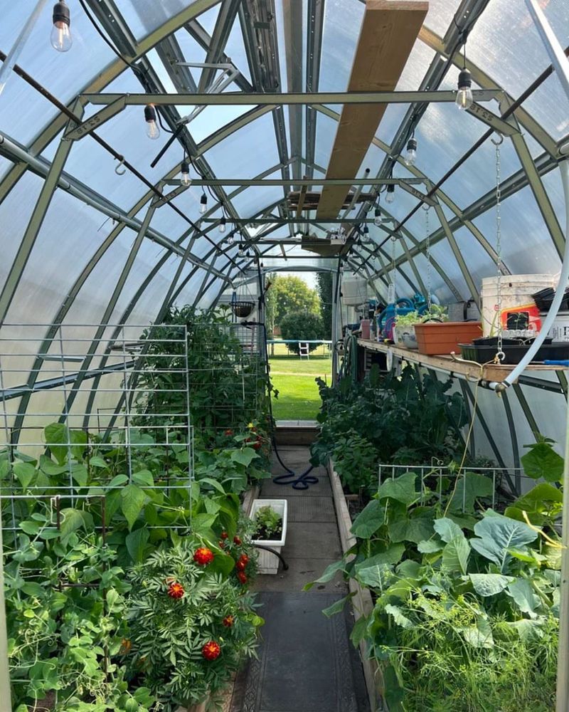 Layer With Raised Beds And Hanging Systems
