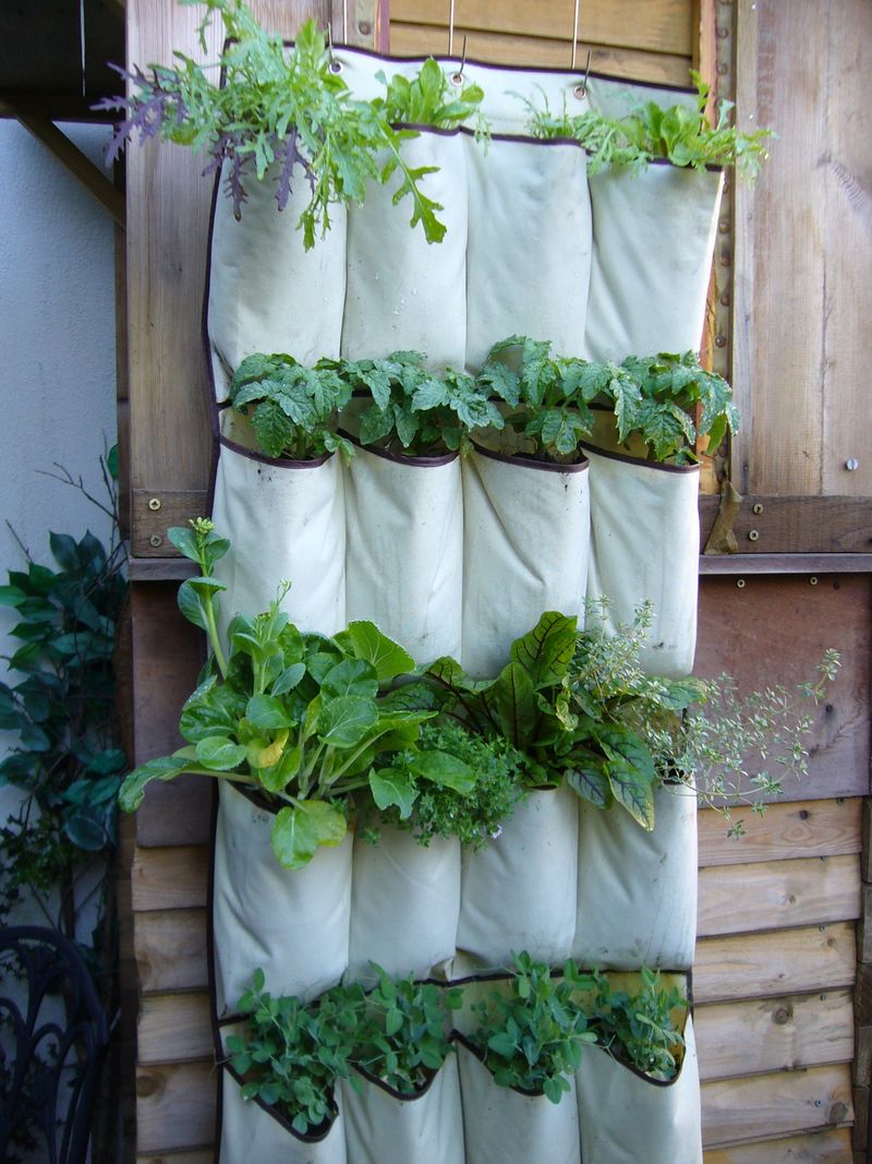 Prepare Your Pockets For Planting
