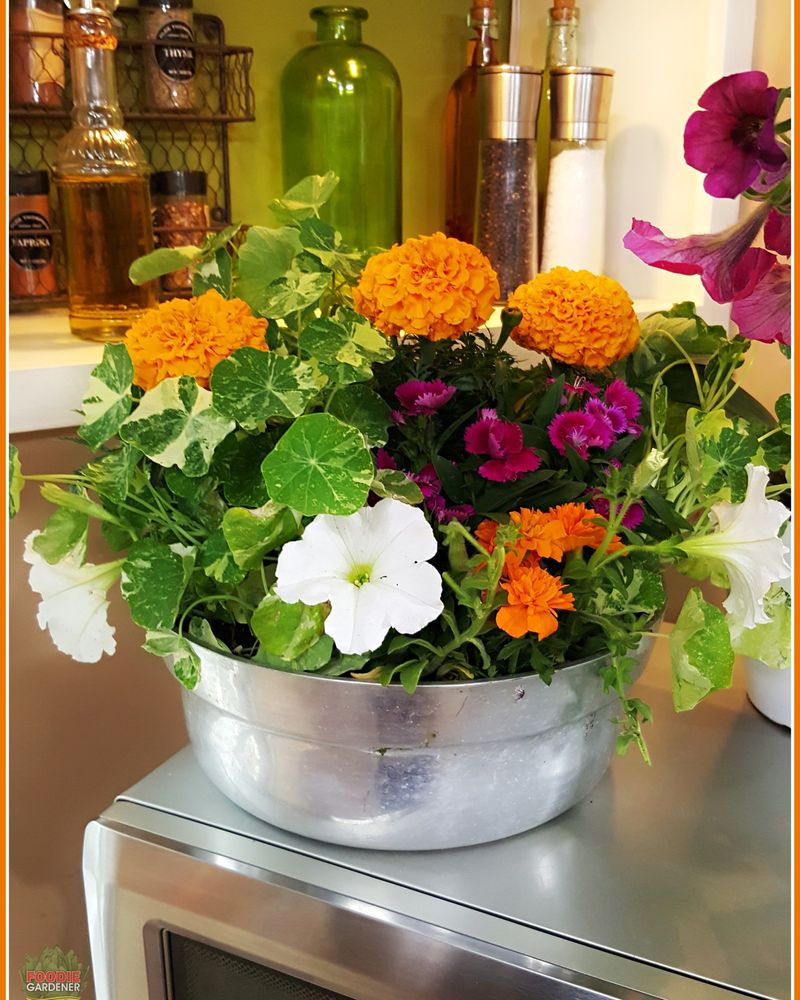 Edible Flower Containers