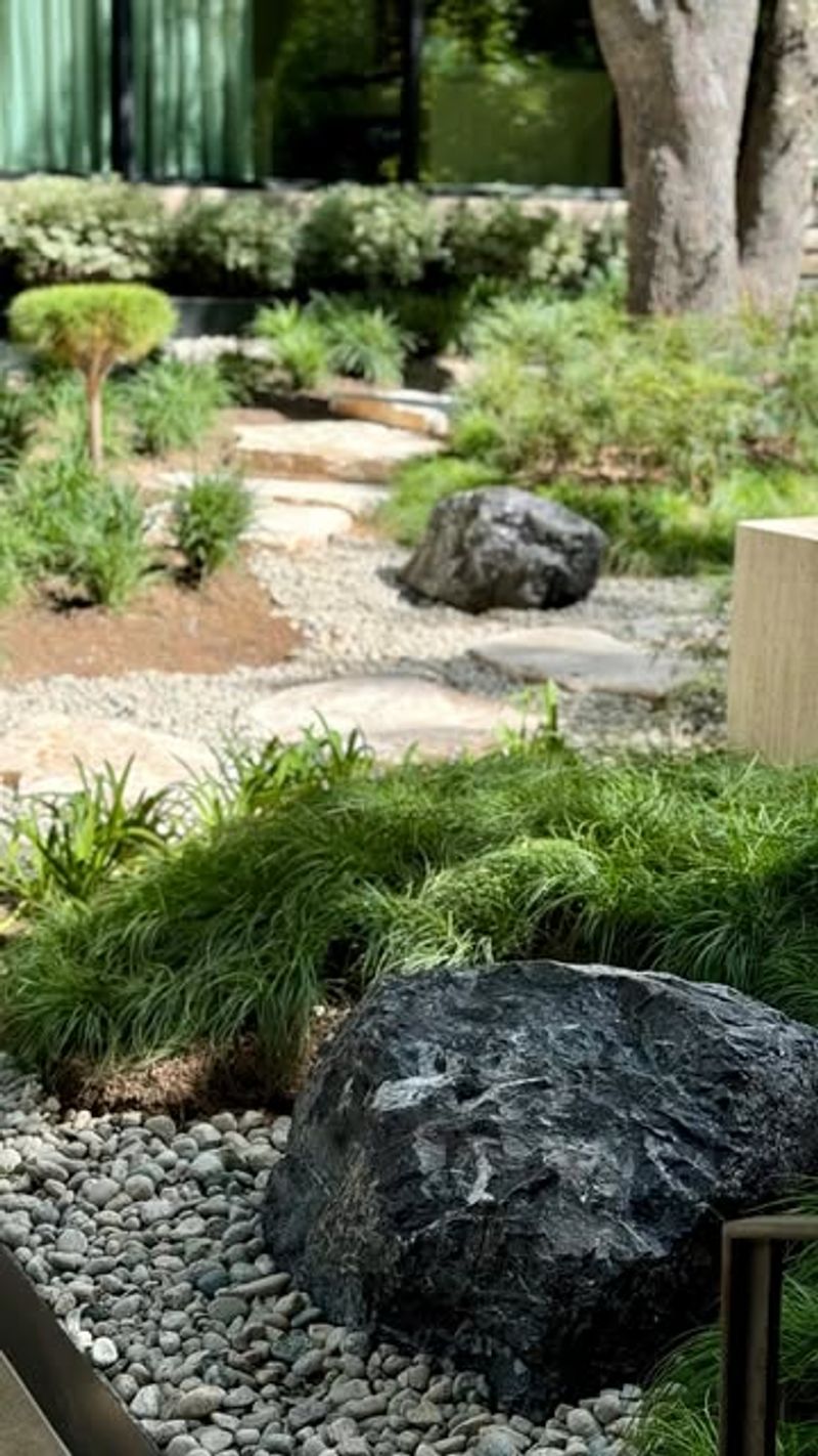 Creating A Gravel Meditation Path Between Tree Fern Pockets