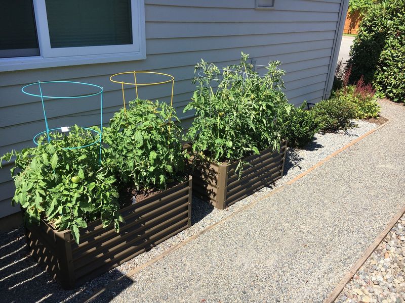 Herb Gardens Need Less Depth