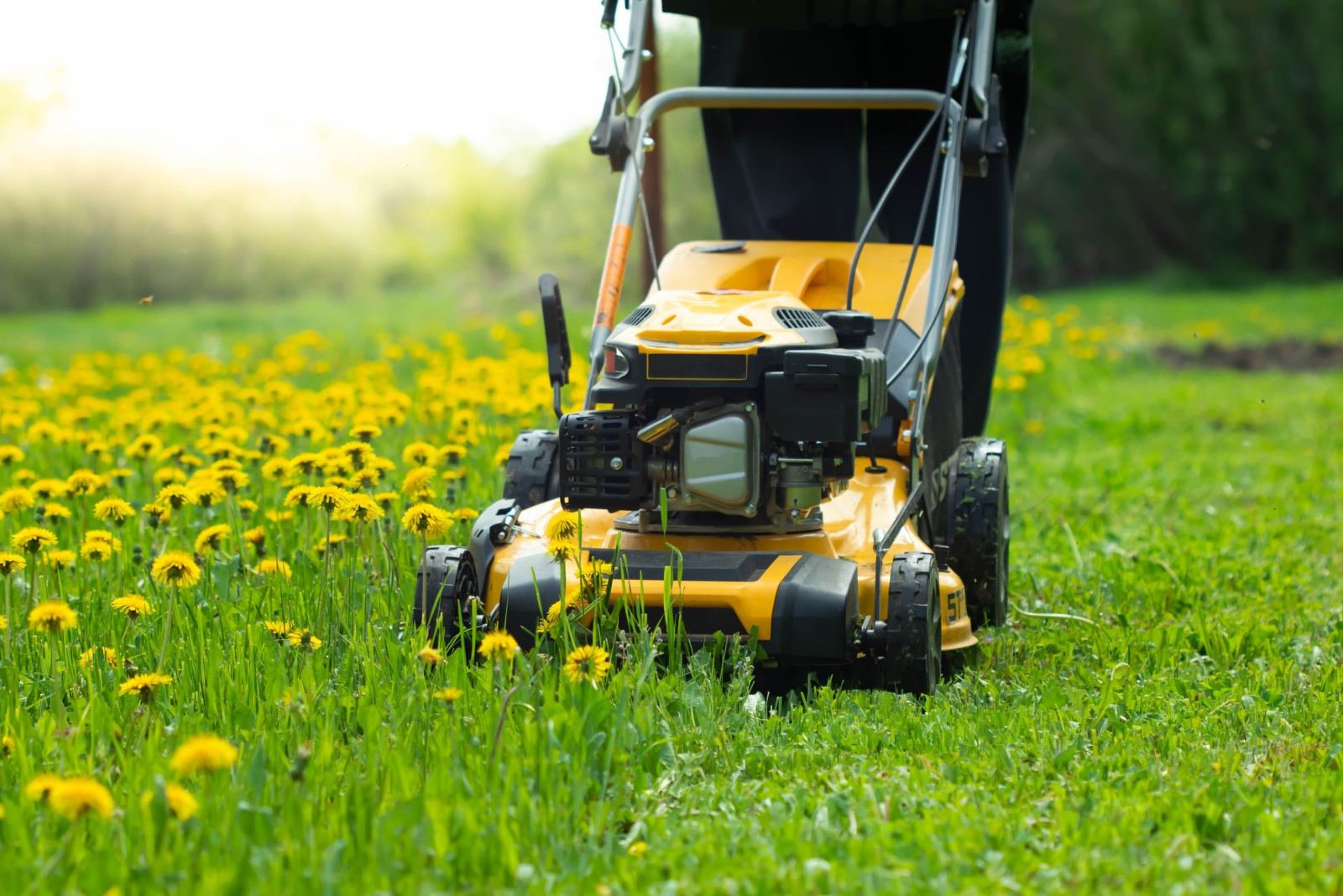 Signs That It May Be Time To Replace Your Lawn Mower In Kentucky