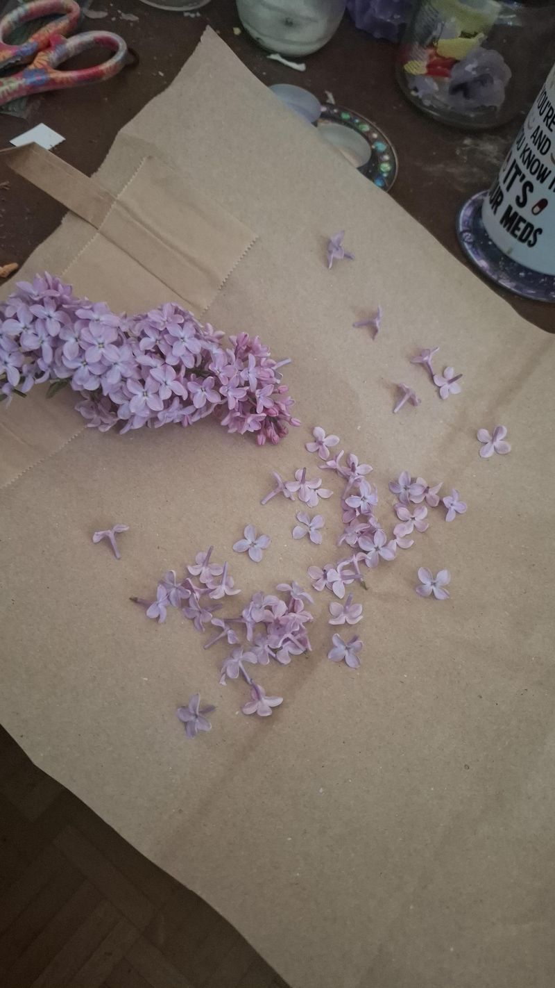 Pressing Creates Delicate Keepsakes