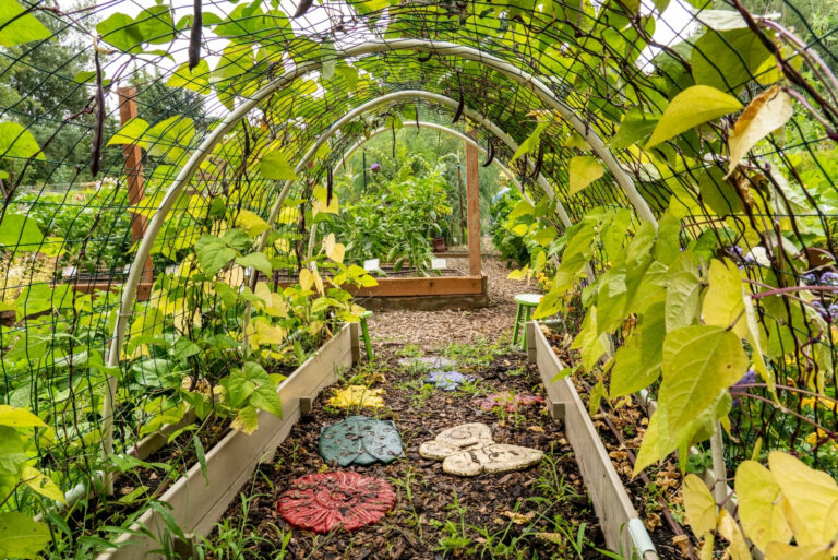 trellis (featured image)