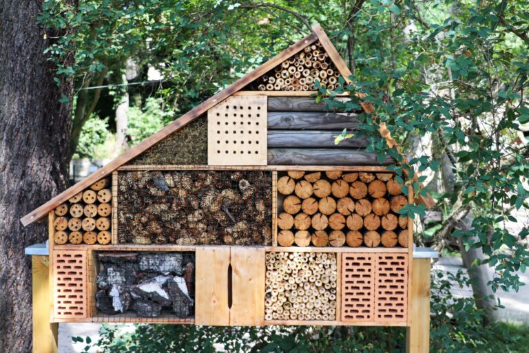 insect hotel
