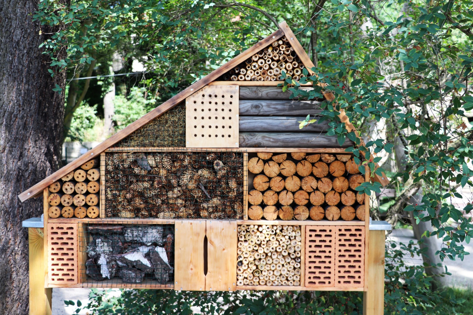 Simple Ways To Help Pollinators In Cold Months In Montana