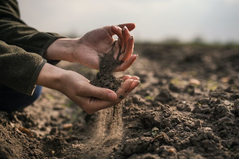 Alkaline Soil Correction