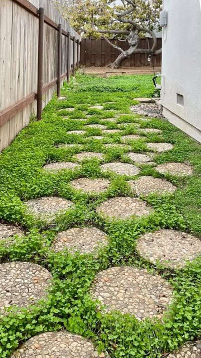 Mowing Becomes Optional