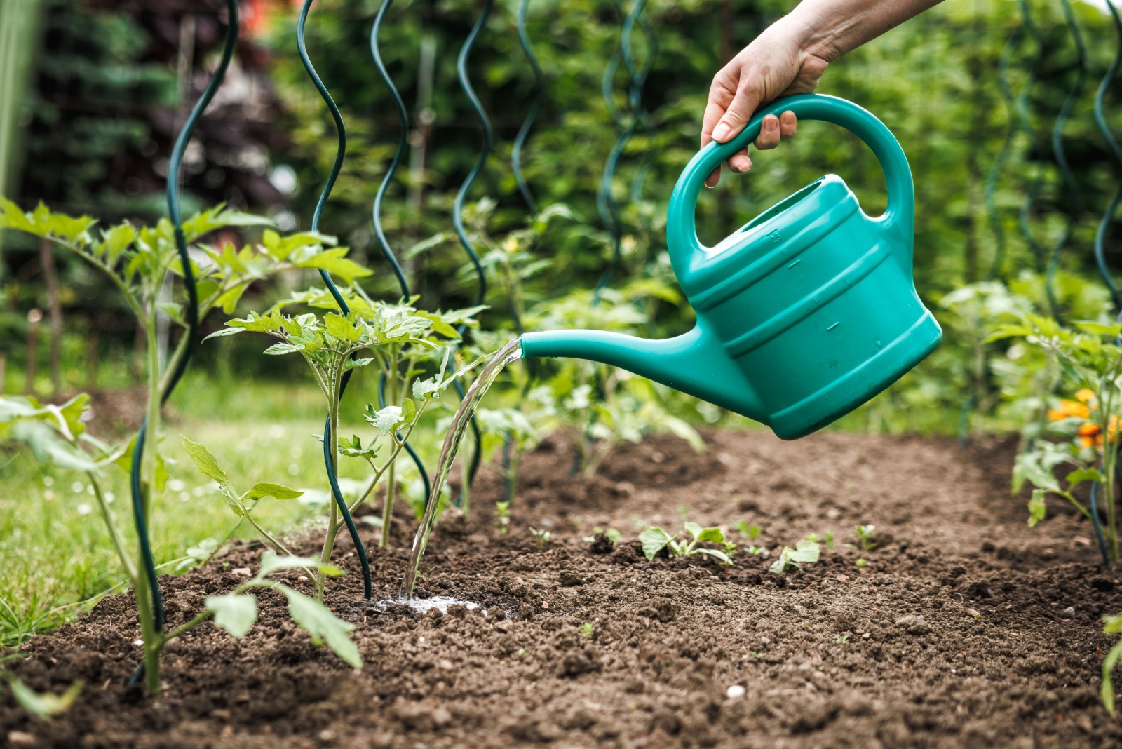Slow Gardening Practices Dallas Gardeners Could Try To Reduce Stress And Enjoy Every Plant