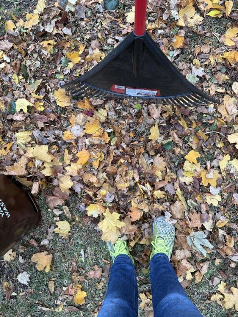 Hand Raking Leaves