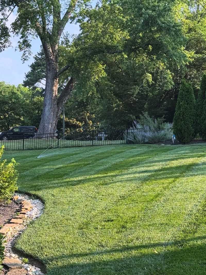Optimal Fertilizer Uptake