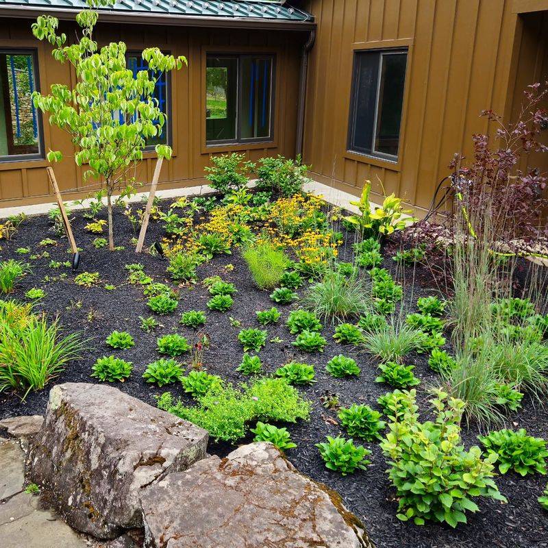Rain Gardens Capture Excess Water