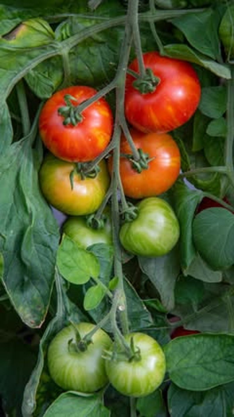 Climate-Controlled Container Gardens