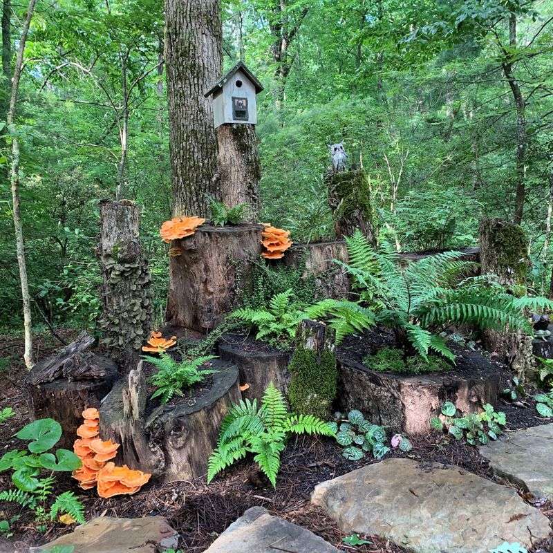 Low-Cost Gardening With Local Materials