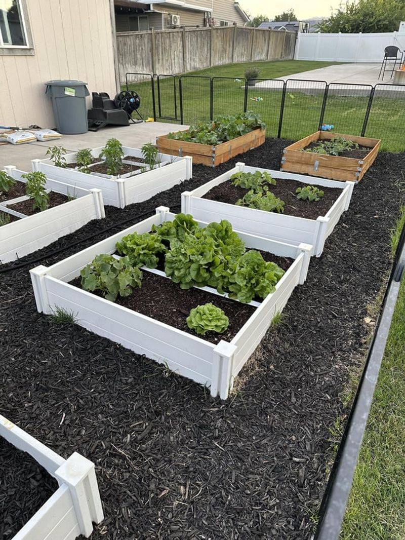 Drip Irrigation Conversion Kits