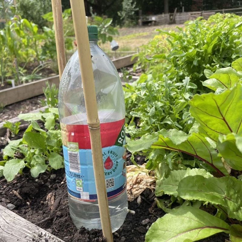 Bottle Drip System