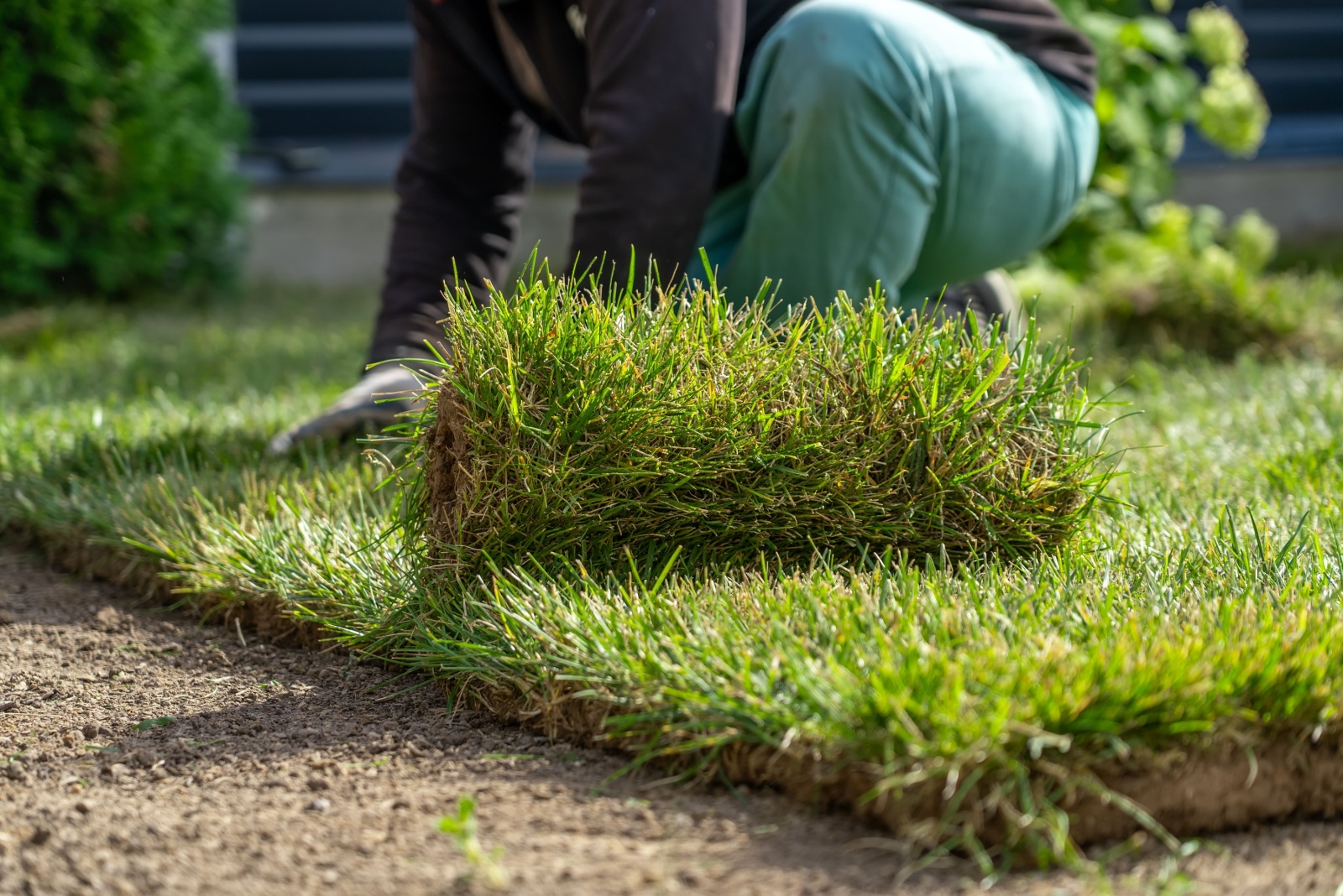 Sod Installation Mistakes To Avoid In Florida