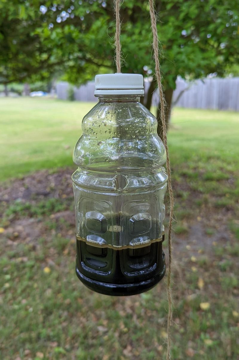 Hanging Jam Jar Lures